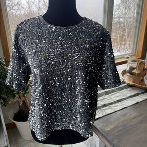 Steve Madden Sparkling Silver Sequined Blouse